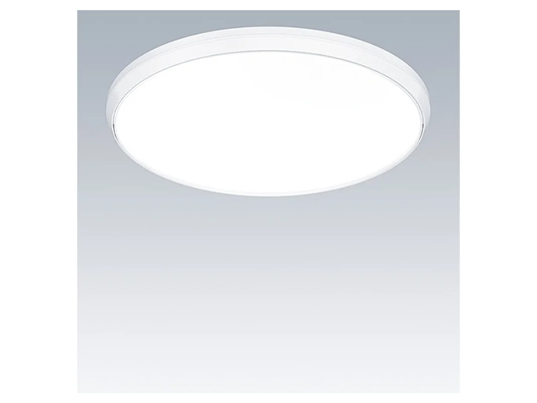2026_05_29_424060