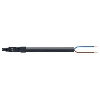 2026_06_01_745433