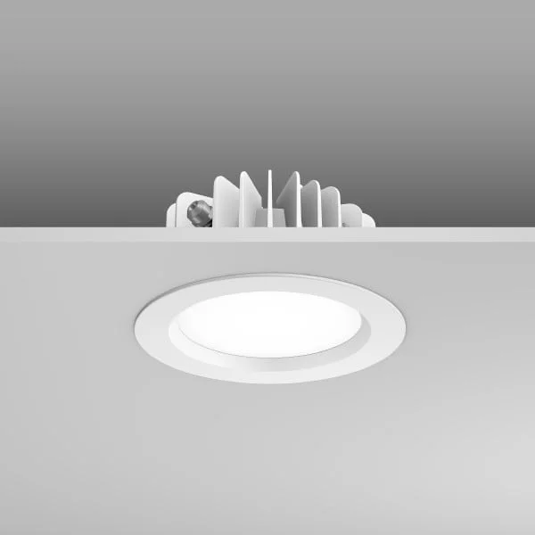 2026_06_01_766650