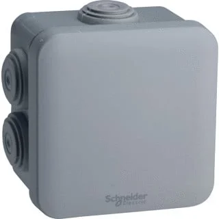 2026_06_01_809695