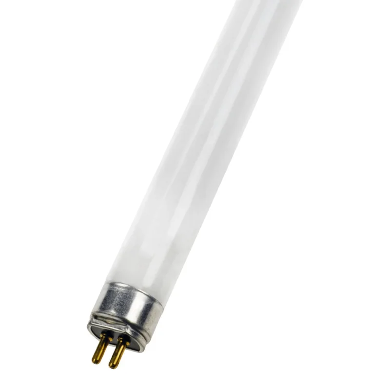 2026_06_02_938412